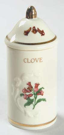 Spice Garden (Giftware) Spice Jar Set Individual Jar & Lid