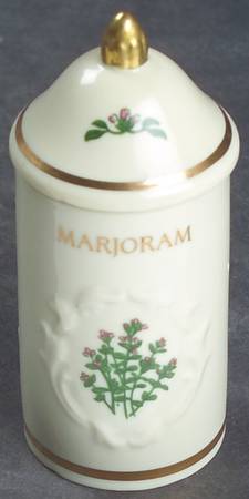Spice Garden (Giftware) Spice Jar Set Individual Jar & Lid