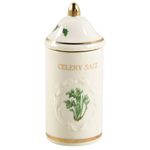 Spice Garden (Giftware) Spice Jar Set Individual Jar & Lid