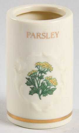 Spice Garden (Giftware) Spice Jar Set Individual Jar No Lid