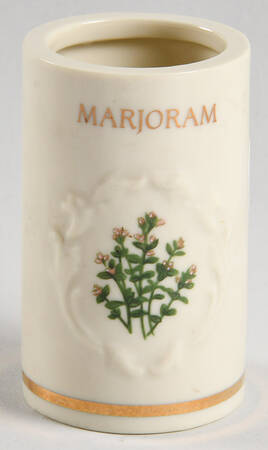Spice Garden (Giftware) Spice Jar Set Individual Jar No Lid