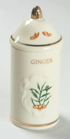 Spice Garden (Giftware) Spice Jar Set Individual Jar & Lid