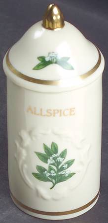 Spice Garden (Giftware) Spice Jar Set Individual Jar & Lid