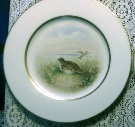 W340 Dinner Plate