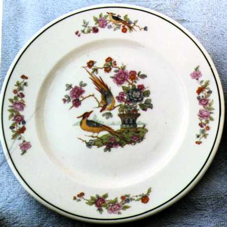 SCE37 Dinner Plate
