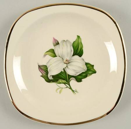 Trillium White (Glamour, Coupe) Square Salad Plate