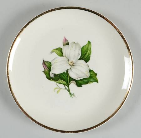 Trillium White (Glamour, Coupe) Salad Plate