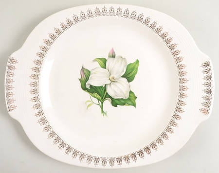 Trillium 14" Oval Serving Platter by Limoges-American