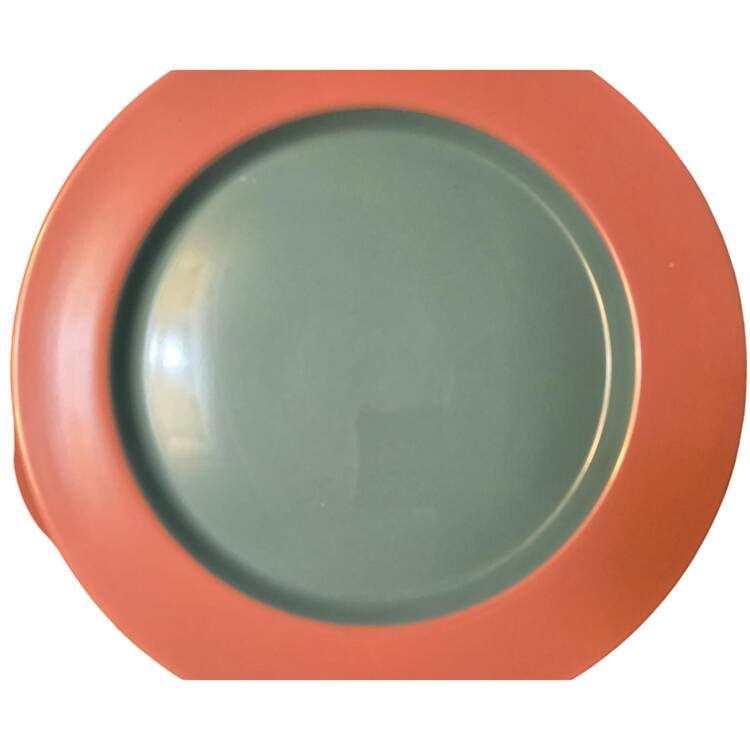 Colorways Dinner Plate
