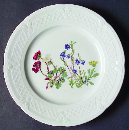 Wild Flower Salad Plate