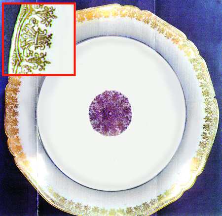 LSS22 Luncheon Plate