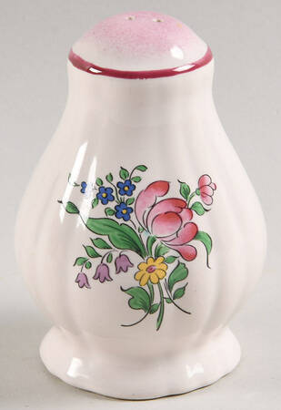 Old Strasbourg (Off White Background) Salt Shaker