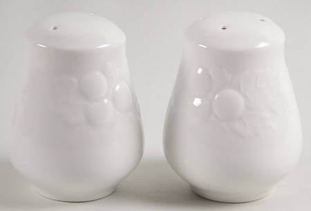Orion Salt & Pepper Set by Lynn's China