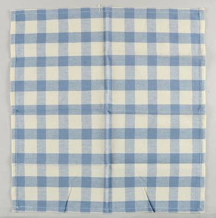 Poppies Rainbow Blue Cloth Napkin