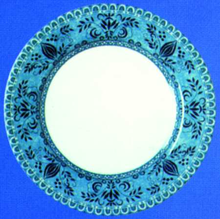 Beaucourt Salad Plate