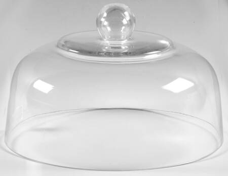 Butterfly Meadow Glass Dome for 25th Anniversary Cake Stand