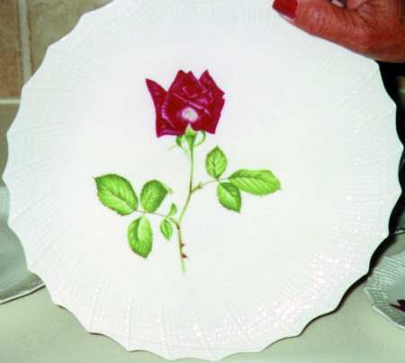 S6E3 Dinner Plate
