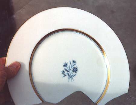 R364 Dinner Plate