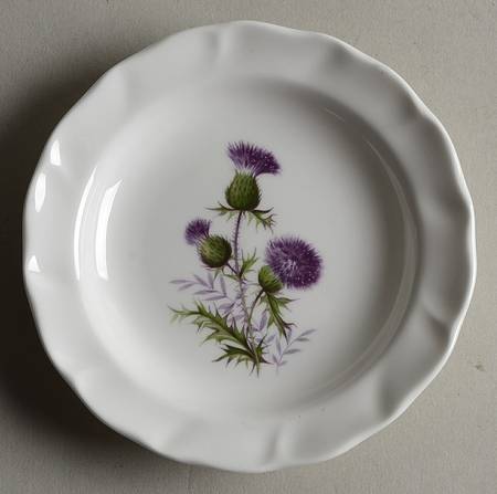 The Thistle Coaster