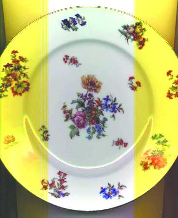 LIM100 Salad Plate