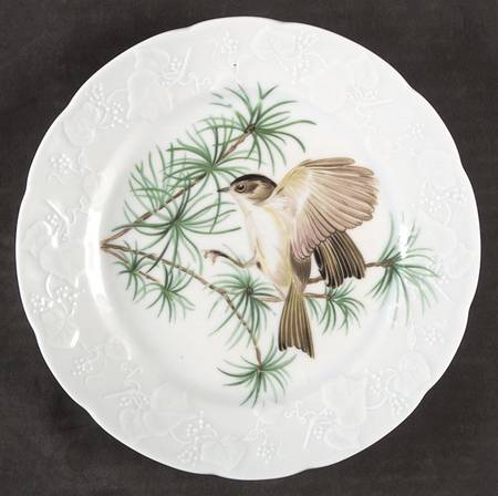 Dan182 Salad Plate
