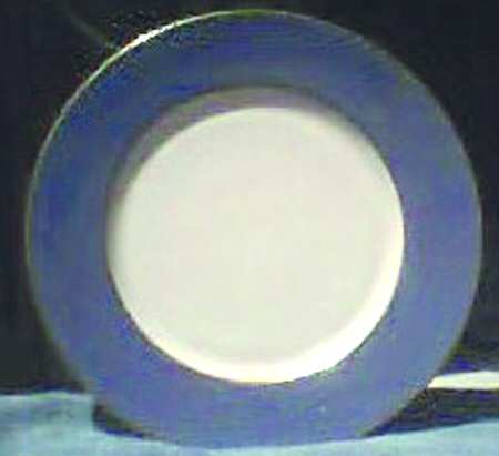L55A Service Plate (Charger)