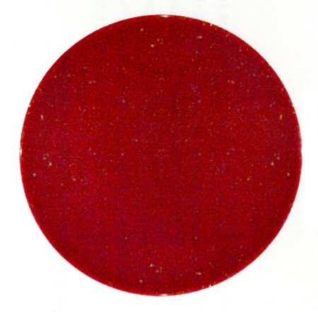 Rio Rancho Red by Lynn's China