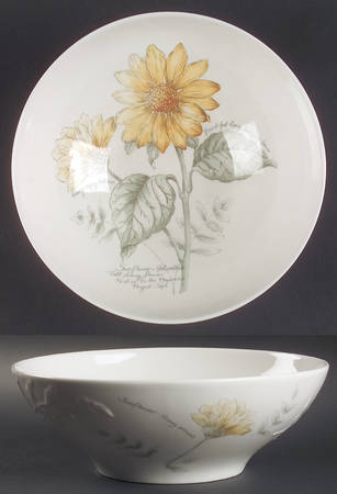 Artist Sketchbook 10" Round Vegetable Bowl by Lenox