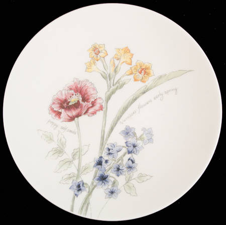 Artist Sketchbook Accent Luncheon Plate