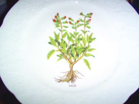 Dan183 Salad Plate
