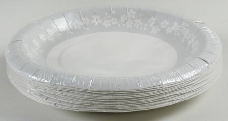Bellina (Platinum Trim) (Pack of 16) Paper Luncheon/Dessert Plates