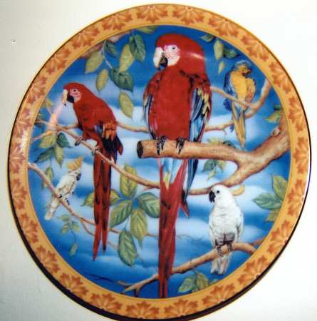 LGP8 Salad Plate