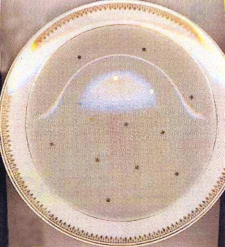 LIM388 Dinner Plate