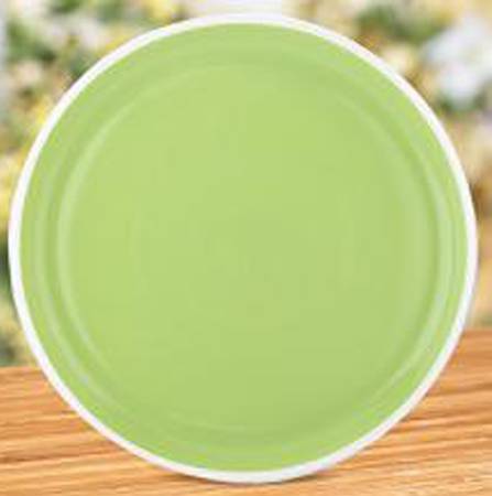 Hoopla Kiwi Dinner Plate