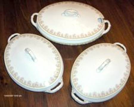 LSS195 Oval Covered Vegetable