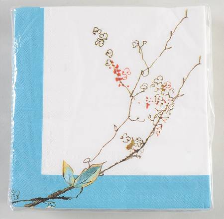 Chirp Package of Paper Luncheon Napkins