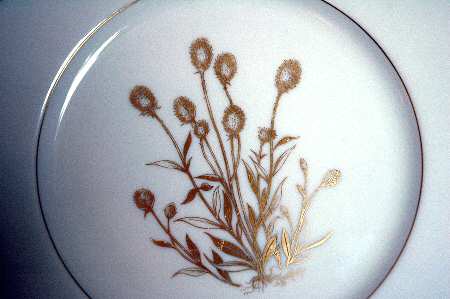 T372 Dinner Plate