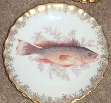 LSS228 Dinner Plate