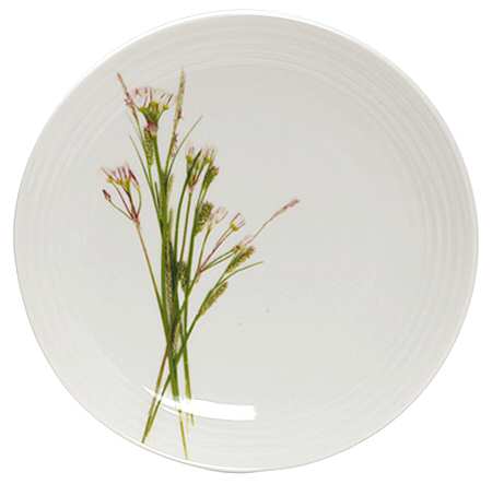 Organic Meadow Salad Plate