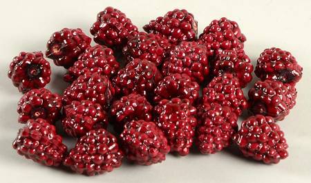 Baskets (24 Count) Raspberries for JW Mini Berry Basket