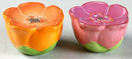 Floral Fusion Salt & Pepper Set