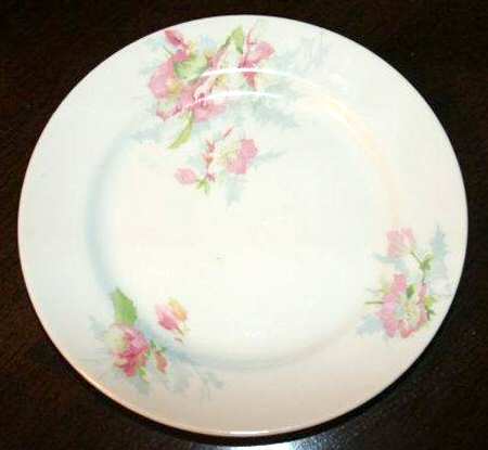 LIM546 Bread & Butter Plate