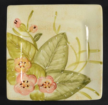 Playa de Flores Square Salad Plate