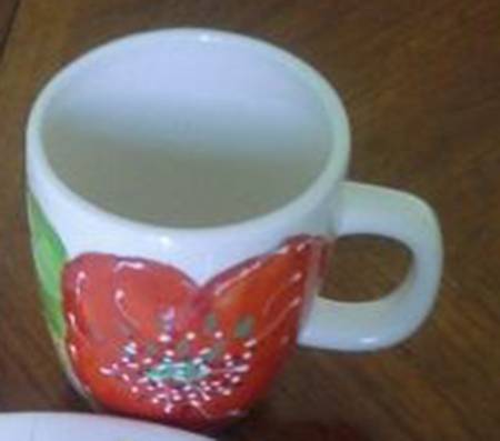 Spring Bloom Collection Mug