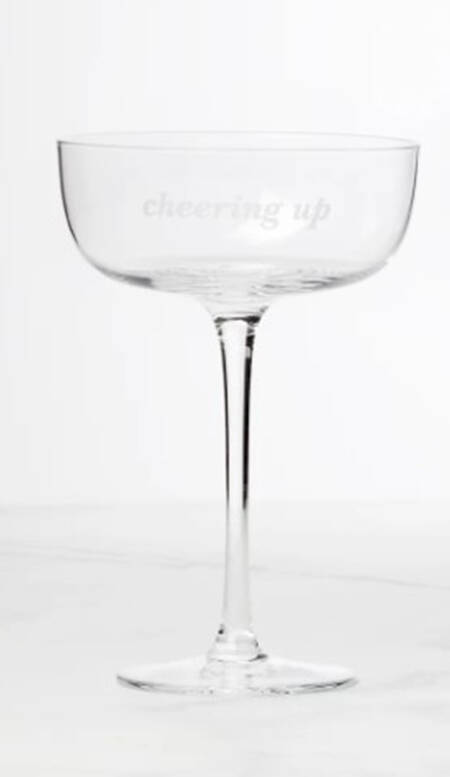 Two of a Kind Glassware Coupe (Champagne/Sherbet)