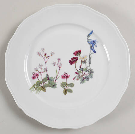 Wild Flower Dinner Plate