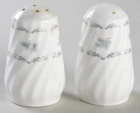 Ariel Salt & Pepper Set