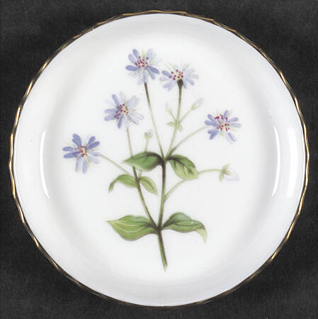 Meadow Scalloped Coaster