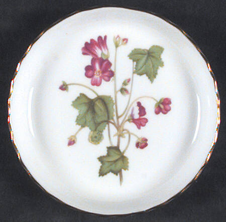 Meadow Scalloped Coaster