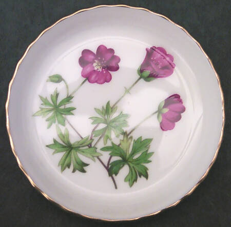 Meadow Scalloped Coaster